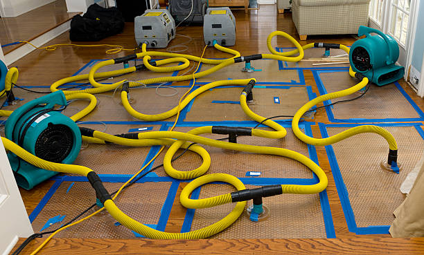 Professional Storm Water Damage Restoration technician working in Paragonah, UT